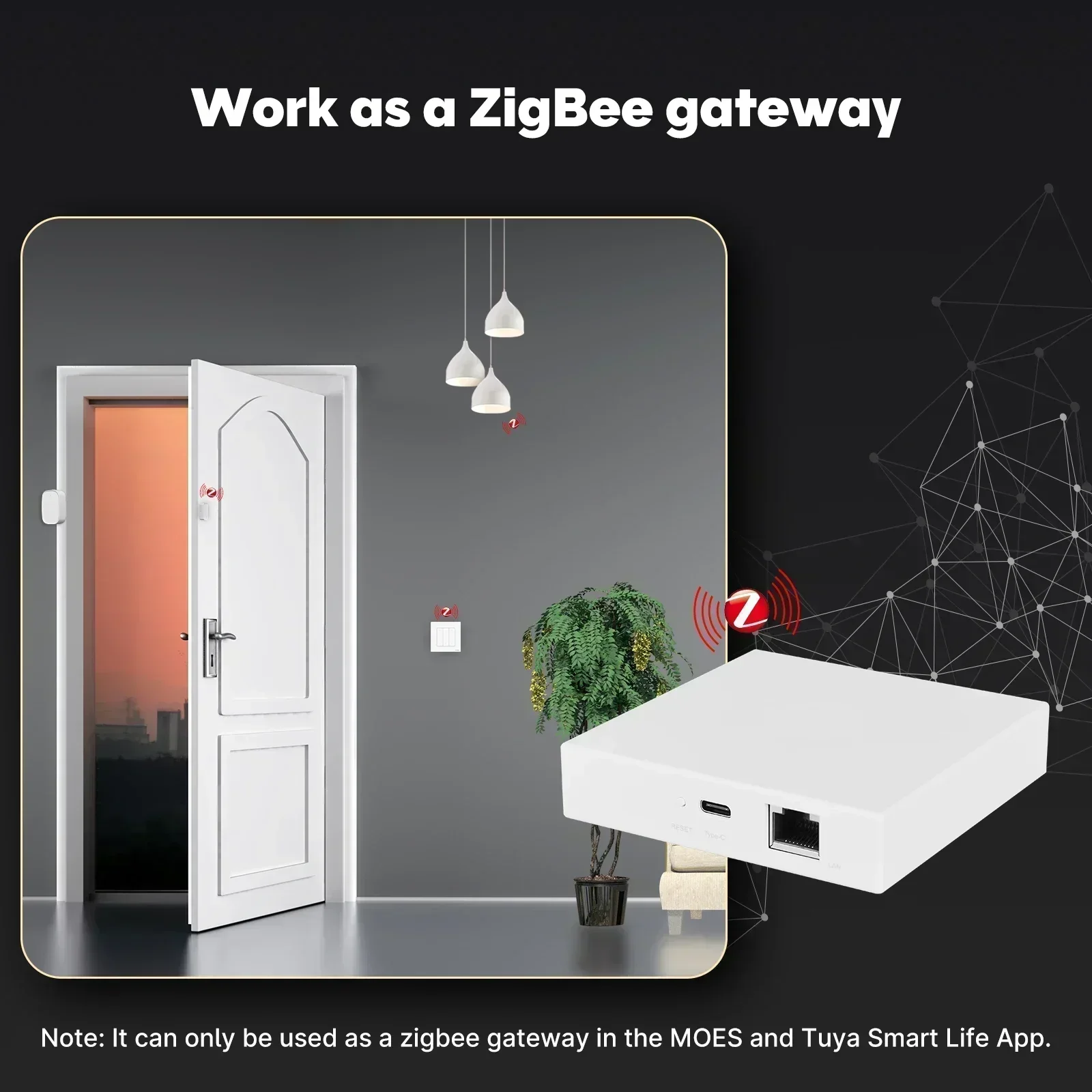 MOES Tuya Zigbee Matter Thread - Matter Hub Thread 리뷰 및 가격