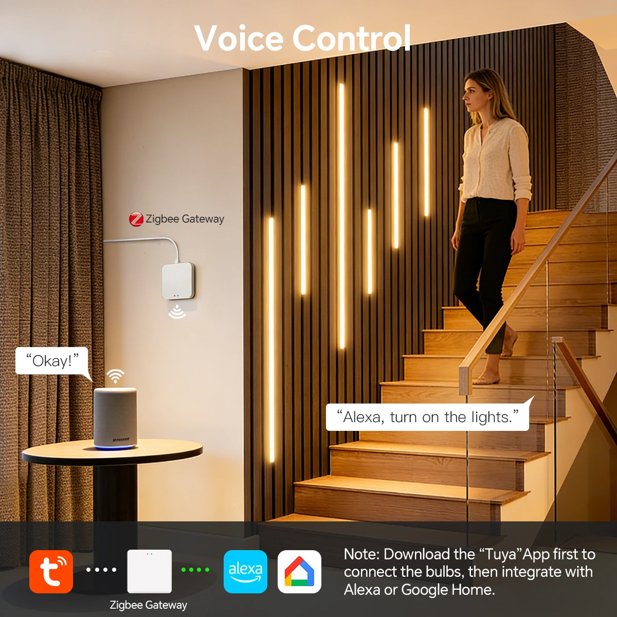 Zigbee Smart Neon COB LED Stri - Smart Home Automation Diy 리뷰 및 가격