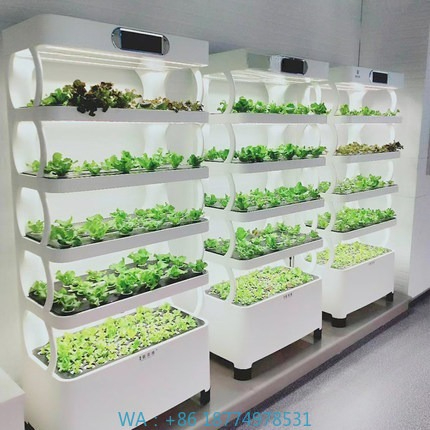 Iydroponic Automated Grow Syst - Diy Home Automation System 리뷰 및 가격