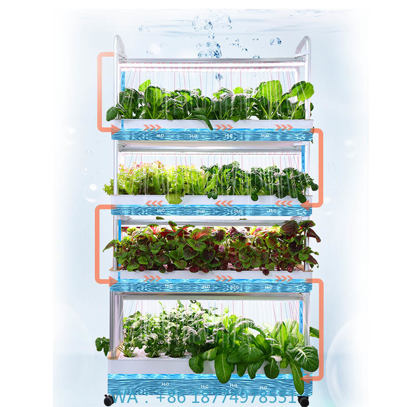 ydroponic Planting System Smar - Diy Automation 리뷰 및 가격