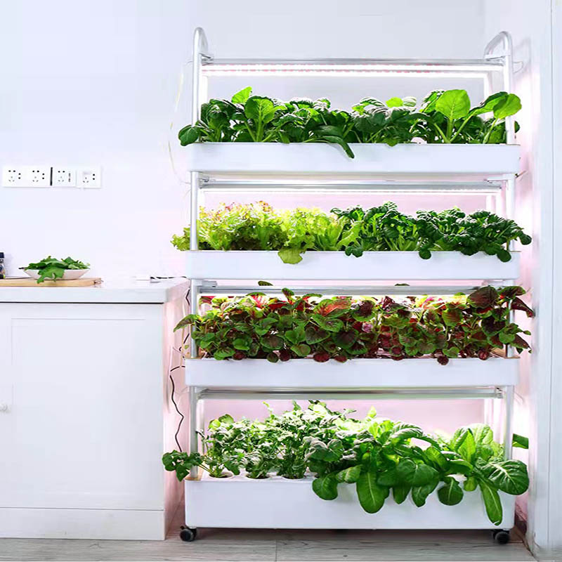 ydroponic Planting System Smar - Diy Automation 리뷰 및 가격
