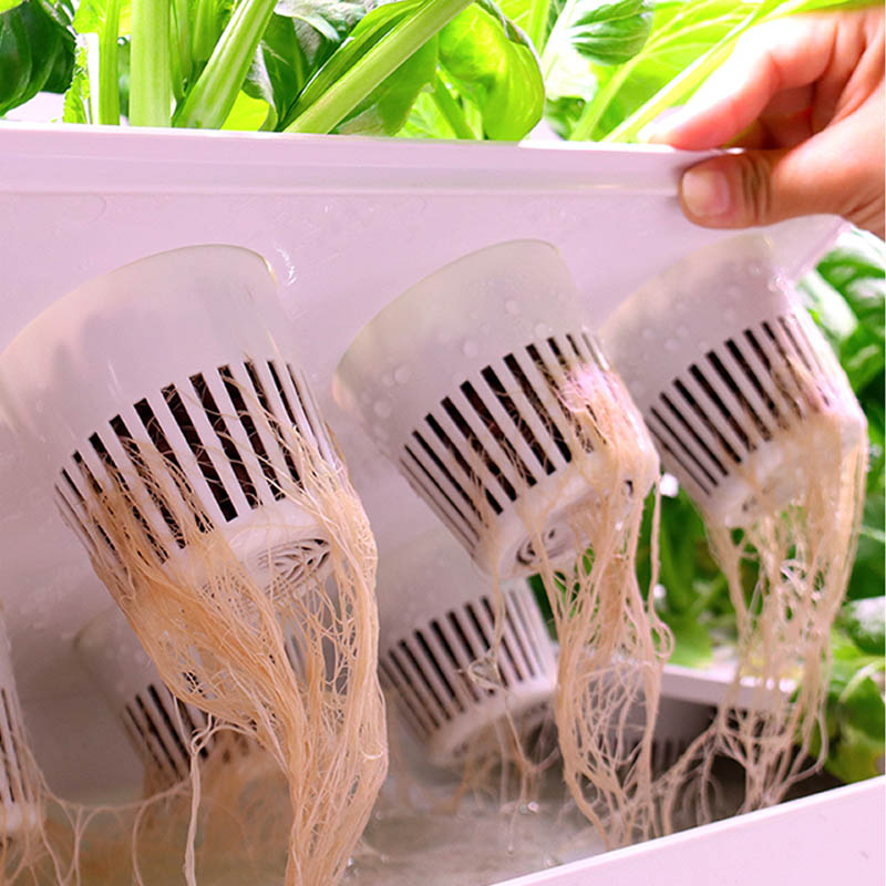 ydroponic Planting System Smar - Diy Automation 리뷰 및 가격