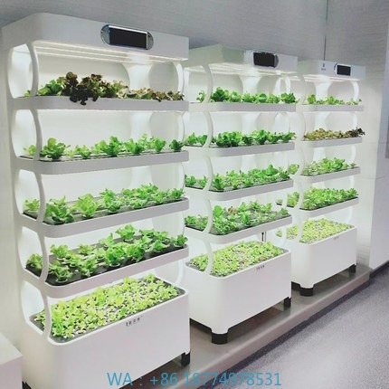 Hydroponic Automated Grow Syst - Diy Automation 리뷰 및 가격